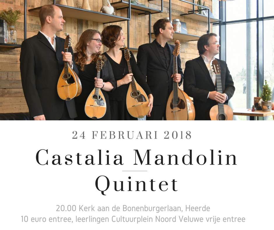 Castalia Mandoline Quintet in Heerde @ Eben Haezer | Heerde | Gelderland | Nederland